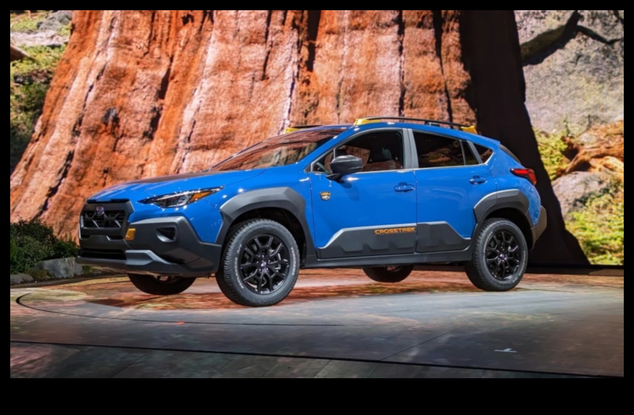 מיזמי שטח: לכבוש את השממה בהיברידיות הרפתקאות