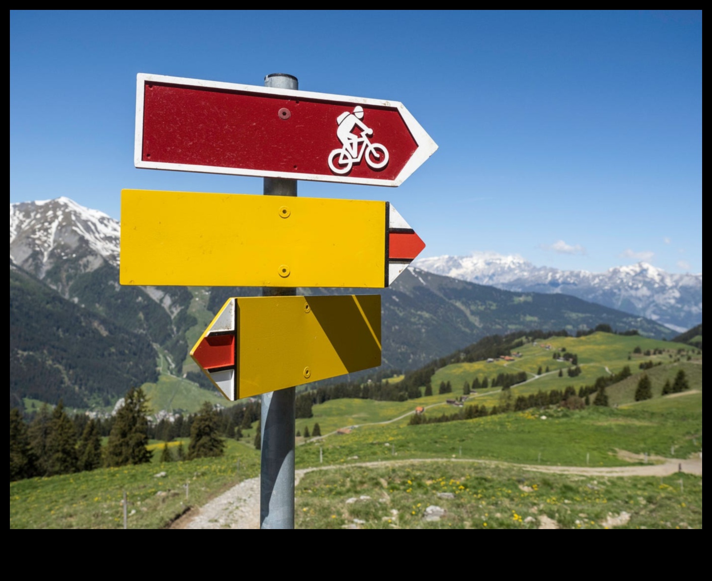 מעבר לג'ונגל העירוני: הרפתקאות היברידיות בנופים מרוחקים