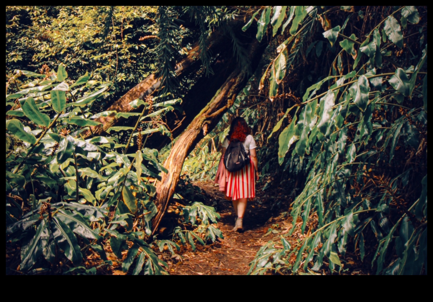 מעבר לג'ונגל העירוני: הרפתקאות היברידיות בנופים מרוחקים