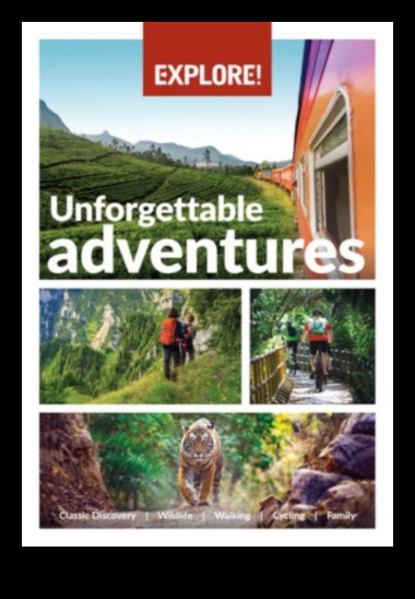 מעבר לג'ונגל העירוני: הרפתקאות היברידיות בנופים מרוחקים