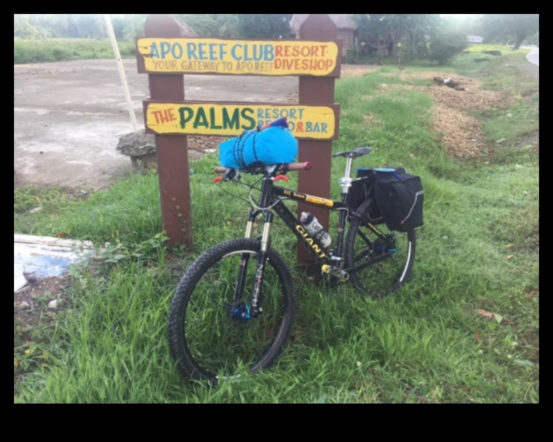 כרוניקות של עיר אופניים: נרטיבים מרוכבי אופניים נוסעים