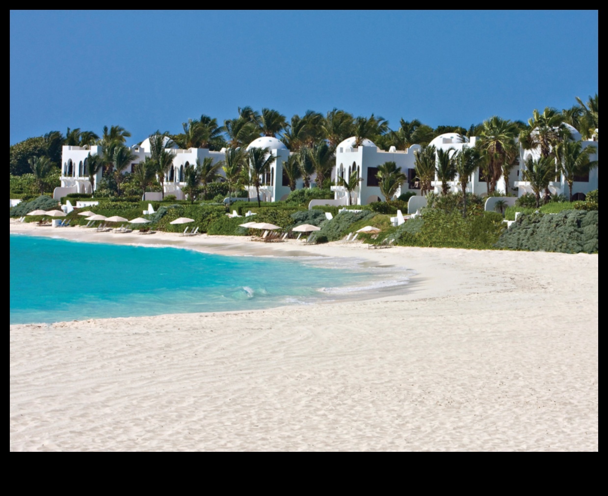 Nuptial Nirvana: תכנון חתונה ללא רבב