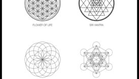 סימנים מסחריים קדושים חוקרים את כוחם של נרטיבים סמליים 6 סמלים קדושים: נרטיבים סמליים במוקד